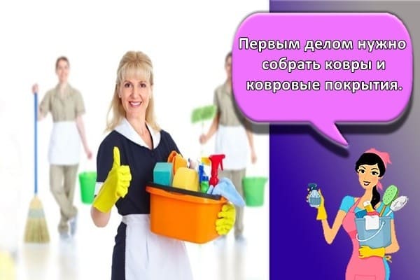 На фото описано про дезинфекцию ковров и пола